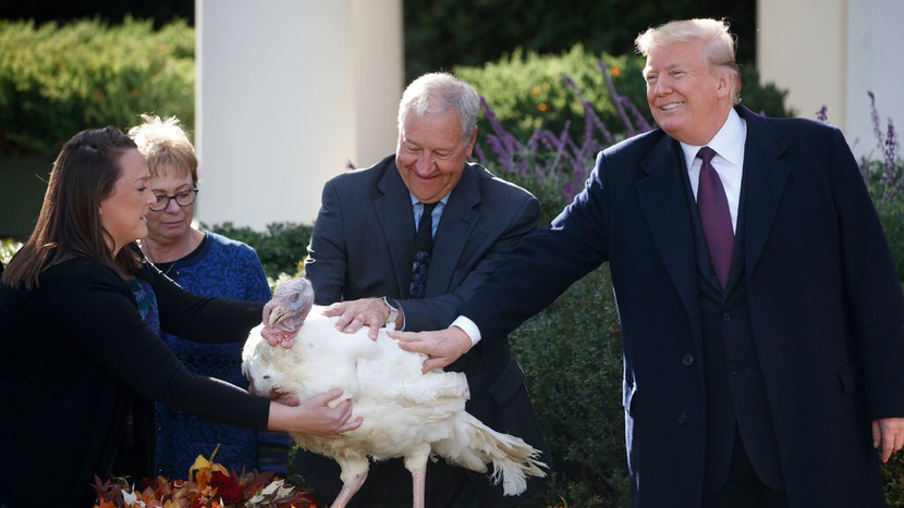 Ông Trump trong sự kiện xá tội gà tây dịp lễ Tạ ơn năm 2018