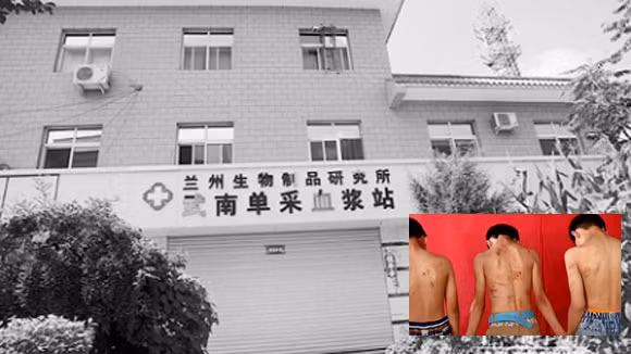 Rùng mình đường dây “hút máu” ảnh 1