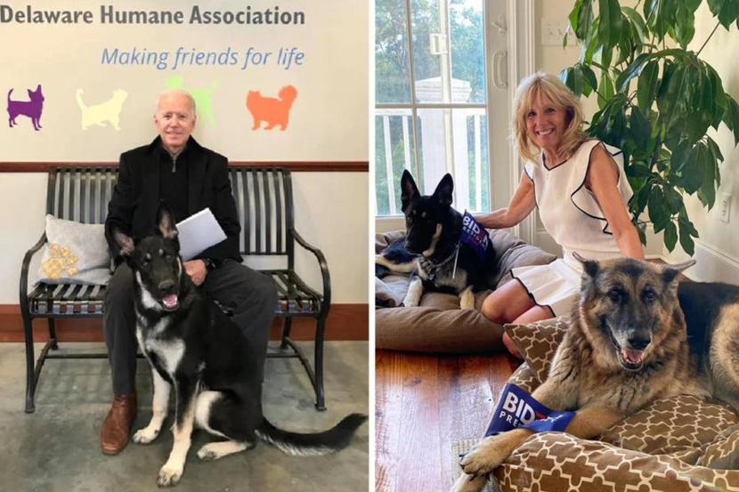 “Gia đình đệ nhất” của nước Mỹ rất yêu quý động vật