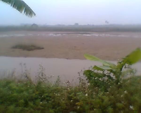 Công bố kết luận thanh tra quá trình sử dụng đất của gia đình ông Đoàn Văn Vươn ảnh 1