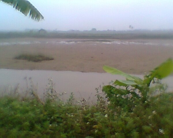 Công bố kết luận thanh tra quá trình sử dụng đất của gia đình ông Đoàn Văn Vươn ảnh 1