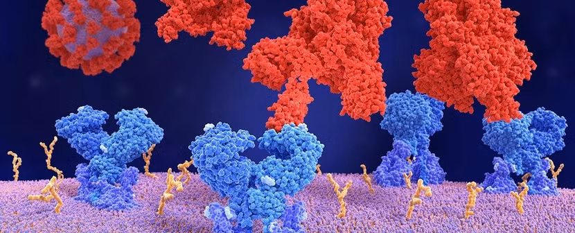 Hiện chủng Delta có hàng chục dòng biến thể phụ, mỗi dòng có các đột biến bổ sung khác nhau trong bộ gene