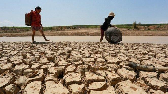 Khắp thế giới đang phải gồng mình chống chọi với đợt hạn hán và nắng nóng hiếm thấy