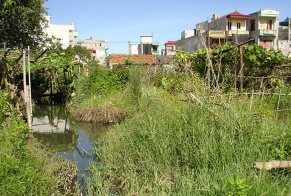 Góp tiền thật, mua dự án “ma” ảnh 2