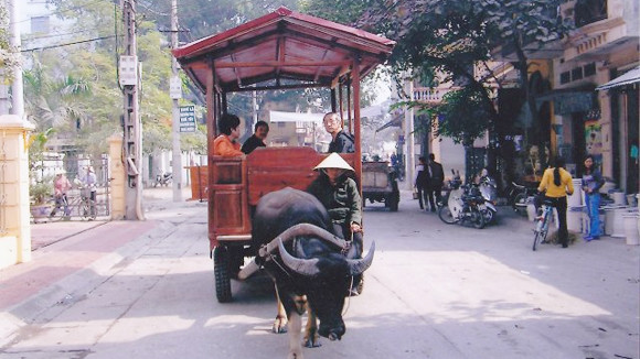 Về Bát Tràng mà đi... xe trâu ảnh 1