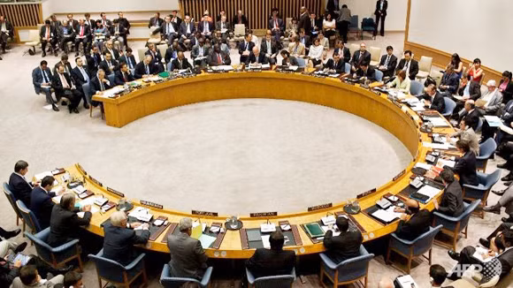 Arập Xêút từ chối ghế Hội đồng Bảo an LHQ ảnh 1