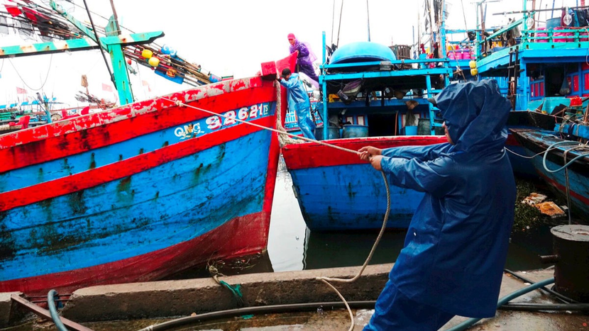 Tàu thuyền được ngư dân Quảng Ngãi neo đậu vào nơi an toàn trước khi bão số 9 vào đất liền
