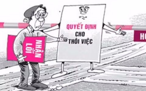 Viên chức bị đuổi việc có thể được tuyển dụng lại