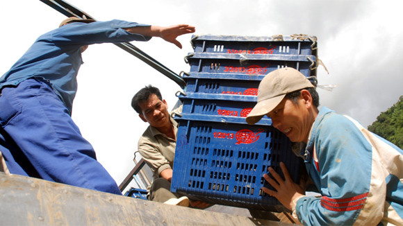 Tổ bốc vác tình thương ảnh 1 Tổ bốc vác tình thương ảnh 1