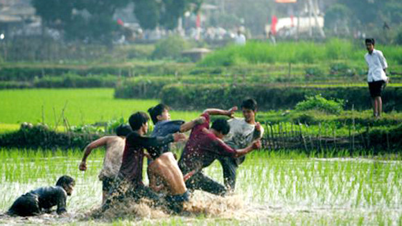 Hãi hùng với “côn đồ xóm” ảnh 1