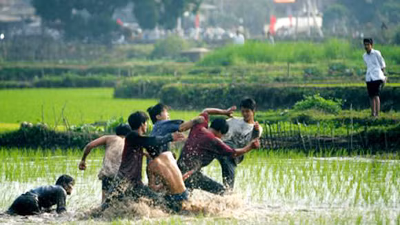 Hãi hùng với “côn đồ xóm” ảnh 1