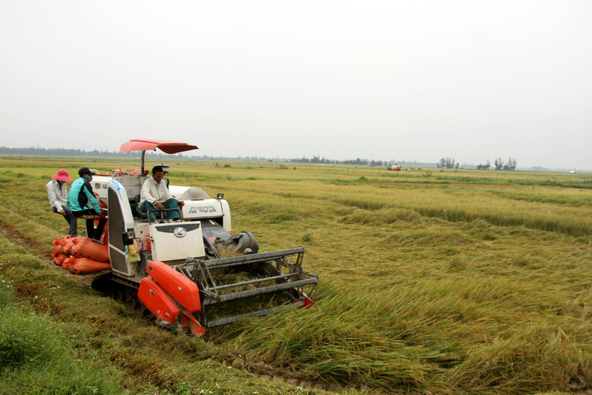 Việt Nam thúc đẩy phát triển nền nông nghiệp hiện đại, nông nghiệp sạch, nông nghiệp hữu cơ, thích ứng với biến đổi khí hậu và kết nối bền vững với chuỗi giá trị nông sản toàn cầu Việt Nam thúc đẩy phát triển nền nông nghiệp hiện đại, nông nghiệp sạch, nông nghiệp hữu cơ, thích ứng với biến đổi khí hậu và kết nối bền vững với chuỗi giá trị nông sản toàn cầu