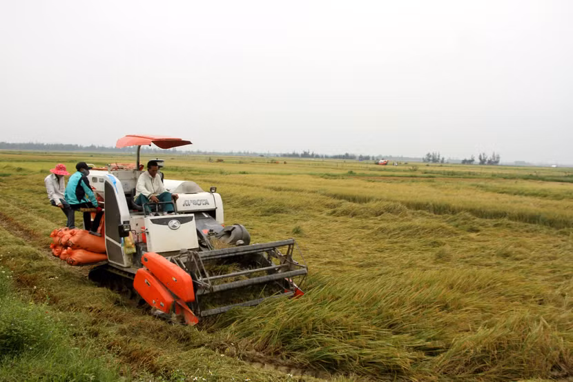 Việt Nam thúc đẩy phát triển nền nông nghiệp hiện đại, nông nghiệp sạch, nông nghiệp hữu cơ, thích ứng với biến đổi khí hậu và kết nối bền vững với chuỗi giá trị nông sản toàn cầu