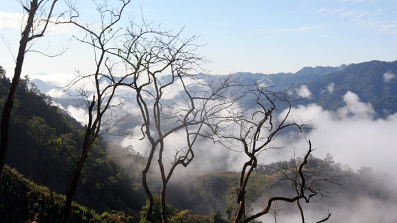 Cung đường mang hình Tổ quốc ảnh 1