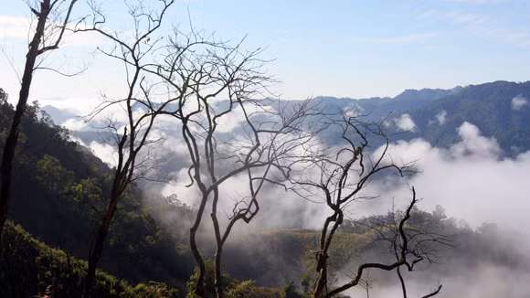 Cung đường mang hình Tổ quốc ảnh 1