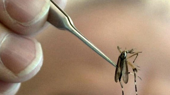 “Kẻ sát nhân giấu mặt“ ảnh 1