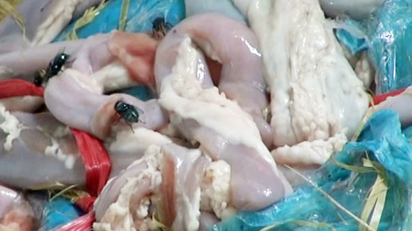 “Bó tay” với hóa chất “lạ” ngâm thực phẩm ảnh 1