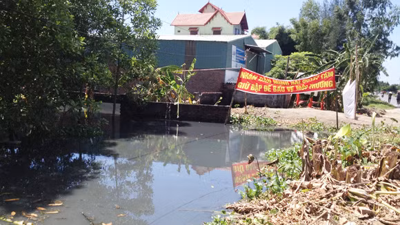 Ngang nhiên xả thải, người dân điêu đứng ảnh 2