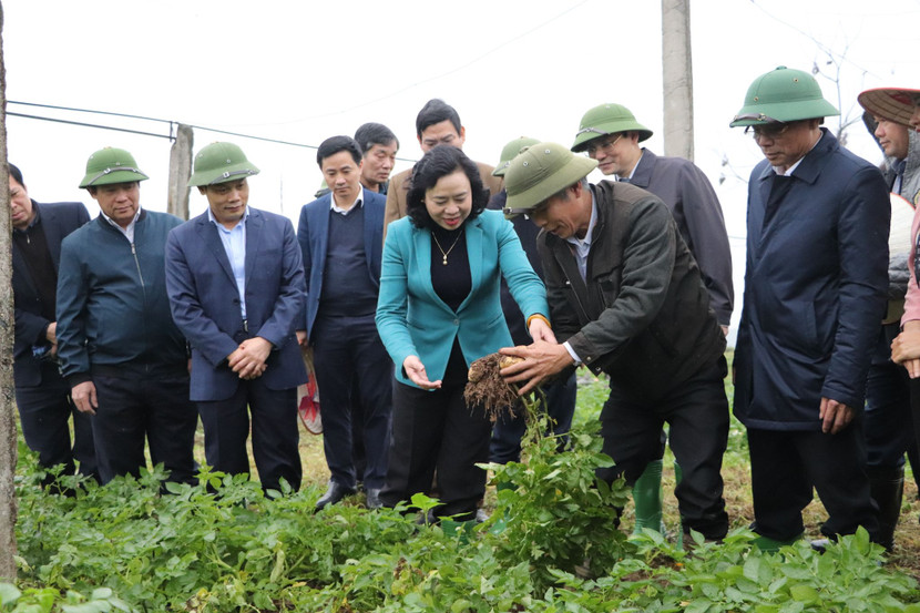 Phó Bí thư Thường trực Thành ủy Hà Nội Ngô Thị Thanh Hằng kiểm tra thực hiện Chương trình 02 tại huyện Thạch Thất (Hà Nội) Phó Bí thư Thường trực Thành ủy Hà Nội Ngô Thị Thanh Hằng kiểm tra thực hiện Chương trình 02 tại huyện Thạch Thất (Hà Nội)