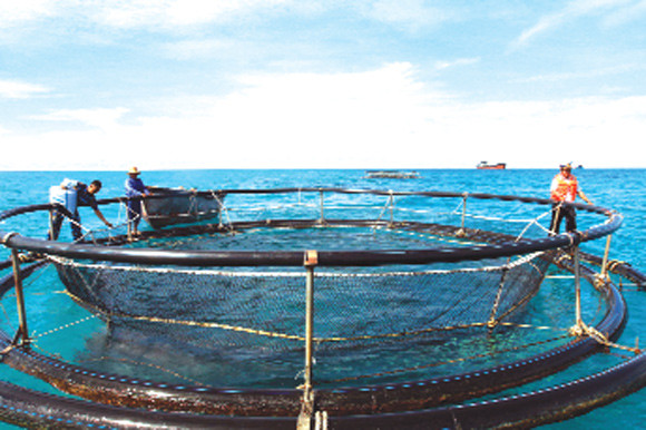 "Đây Trường Sa, kia Hoàng Sa..." ảnh 2