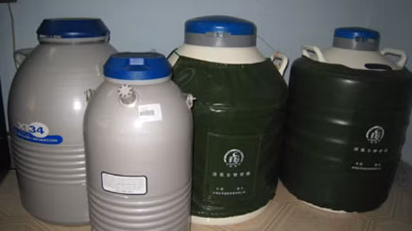 Bạn có biết về ngân hàng tinh trùng và thụ thai từ tinh trùng đông lạnh 15 năm? ảnh 2