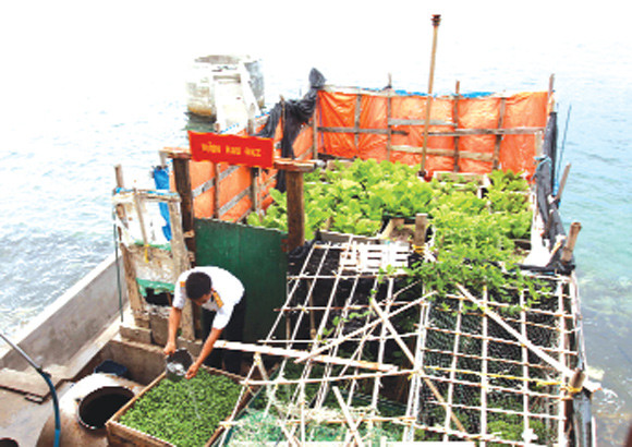 "Đây Trường Sa, kia Hoàng Sa..." ảnh 1