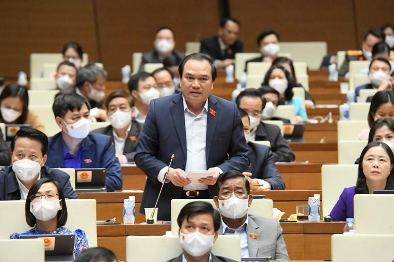 Đại biểu Nguyễn Công Hoàng (Đoàn Thái Nguyên)