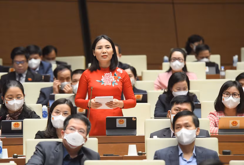 Đại biểu Âu Thị Mai (Đoàn Tuyên Quang)