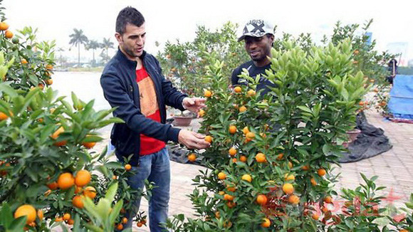 Ngoại binh ăn Tết Việt ảnh 1