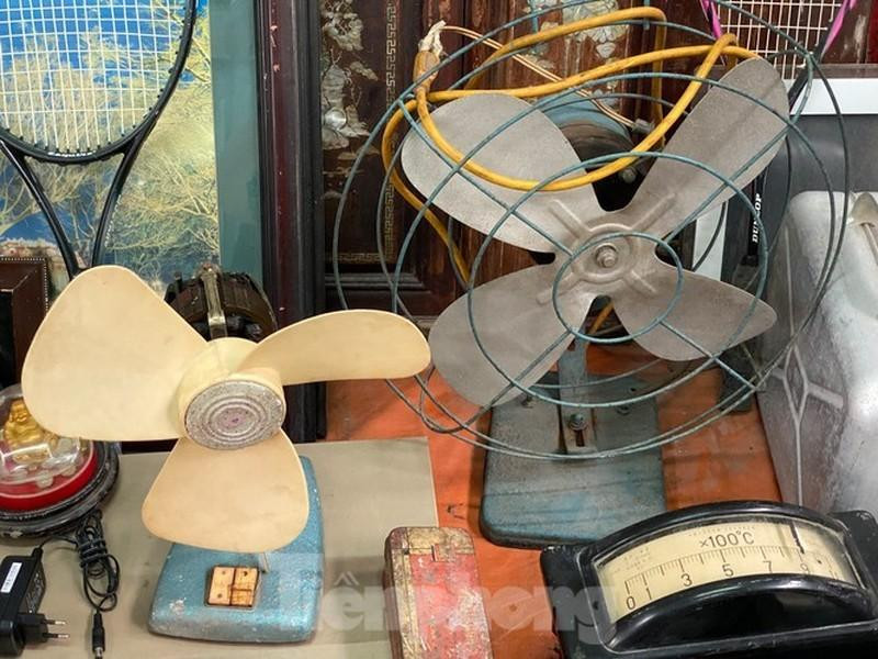 Những cây quạt tai voi, quạt Mỹ, phích nước