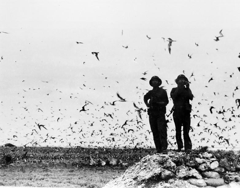 Bộ đội hải quân trên đảo Trường Sa được giải phóng, ngày 29-4-1975. Ảnh: Tư liệu Bộ đội hải quân trên đảo Trường Sa được giải phóng, ngày 29-4-1975. Ảnh: Tư liệu