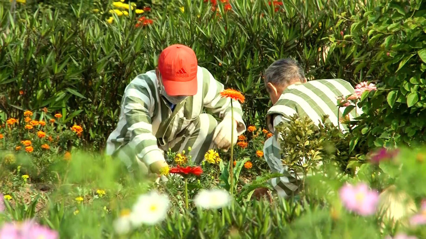 Phía sau song sắt là hàng nghìn câu chuyện đời bi thương