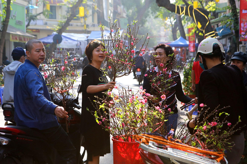 Hà Nội đang chuẩn bị tốt nhất các điều kiện phục vụ nhân dân Thủ đô đón năm mới 2023 Hà Nội đang chuẩn bị tốt nhất các điều kiện phục vụ nhân dân Thủ đô đón năm mới 2023