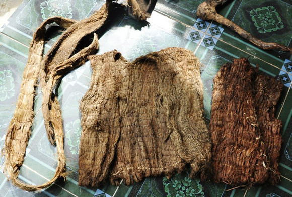 Cận cảnh cuộc sống nguyên thủy của “người rừng” Quảng Ngãi ảnh 3