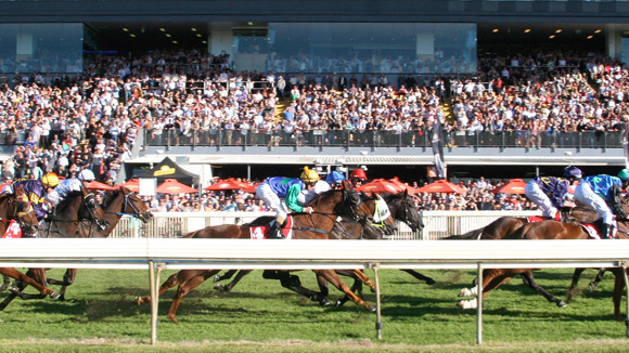 Bao giờ ngựa mới được phi? ảnh 1