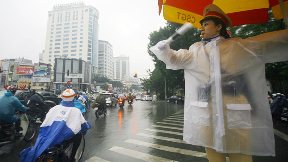 Những bông hoa bình dị ảnh 1