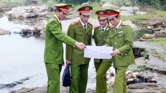 Những bông hoa bình dị ảnh 2