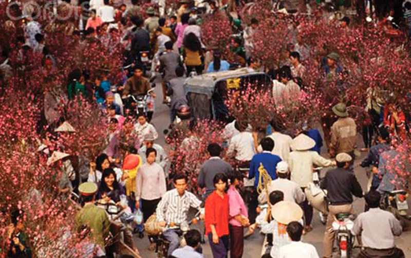 Chợ hoa Tết Hàng Lược những năm 1990