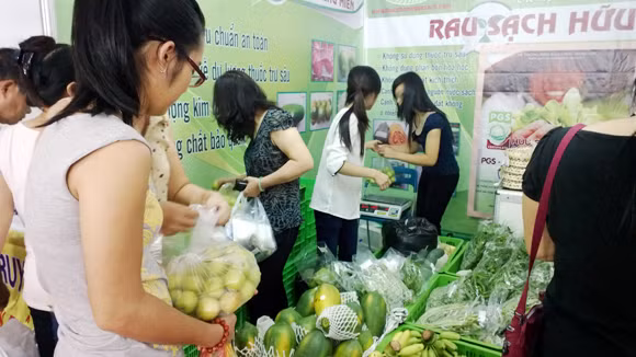 Dồi dào thực phẩm, rau xanh ảnh 1