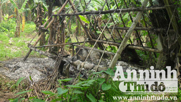 Bắt khẩn cấp “ông trùm” Ngọc “trọc” ảnh 1 Bắt khẩn cấp “ông trùm” Ngọc “trọc” ảnh 1