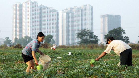 Cần hiến định chặt chẽ về thu hồi đất ảnh 1