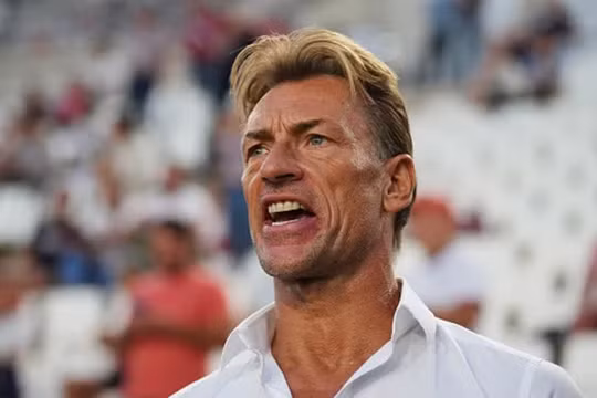 Cựu HLV đội Nam Định bỗng dự World Cup 2026 theo cách không ngờ
