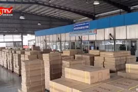 Hải quan phát hiện gần 15.000 mỹ phẩm, hàng hiệu nghi giả mạo 