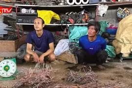 Bắt đối tượng trộm dây điện của hệ thống đèn chiếu sáng đường dẫn cao tốc 