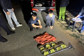 Cận cảnh vây bắt 2 đối tượng vận chuyển lượng lớn ma túy