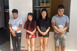 Triệt xóa ổ ma túy “di động” trên ô tô 