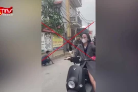 Để chó cắn người, chủ nuôi bị xử lý thế nào? 