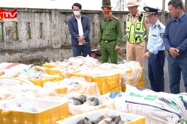 Bắt giữ hơn 2,6 tấn sản phẩm động vật không rõ nguồn gốc 