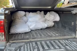 Phát hiện gần 300kg gà chết bốc mùi chuẩn bị tiêu thụ 