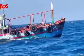 Bắt giữ tàu cá chở trái phép hơn 50.000 lít dầu diesel 